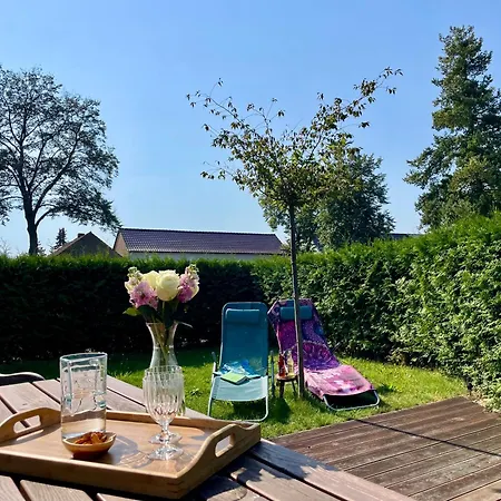 L45 * Elsterheide
